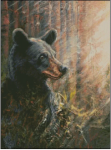 (image for) The Forest's Edge